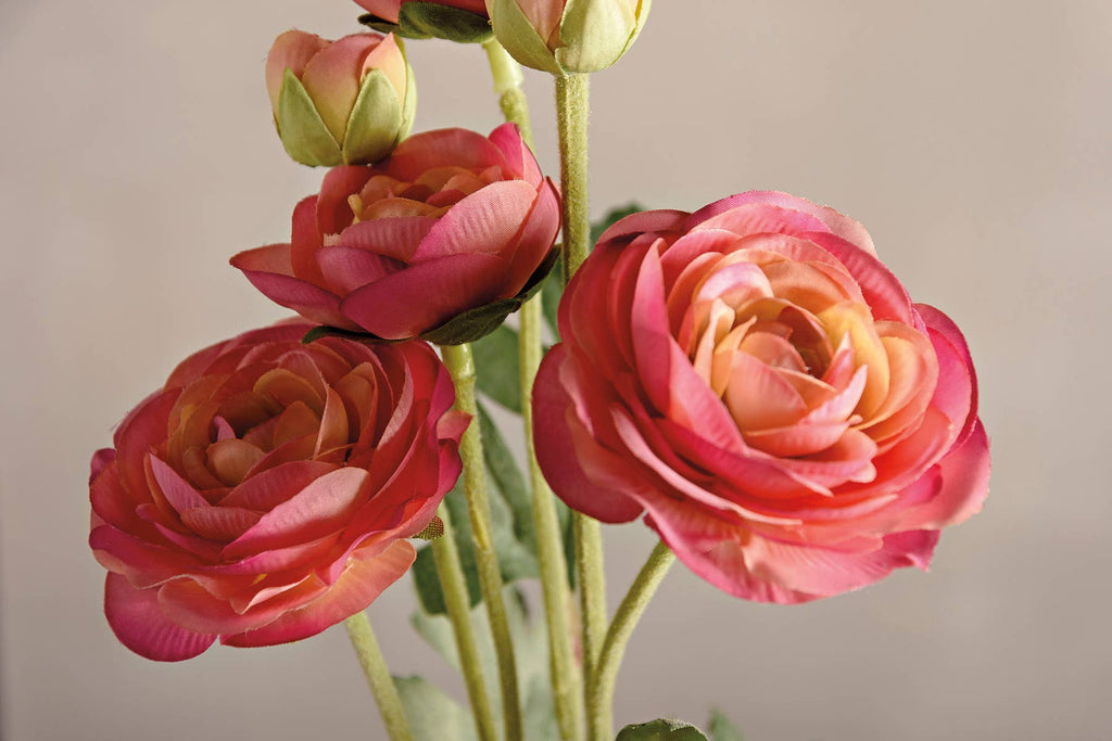 Pink Ranunculus Floral Pick