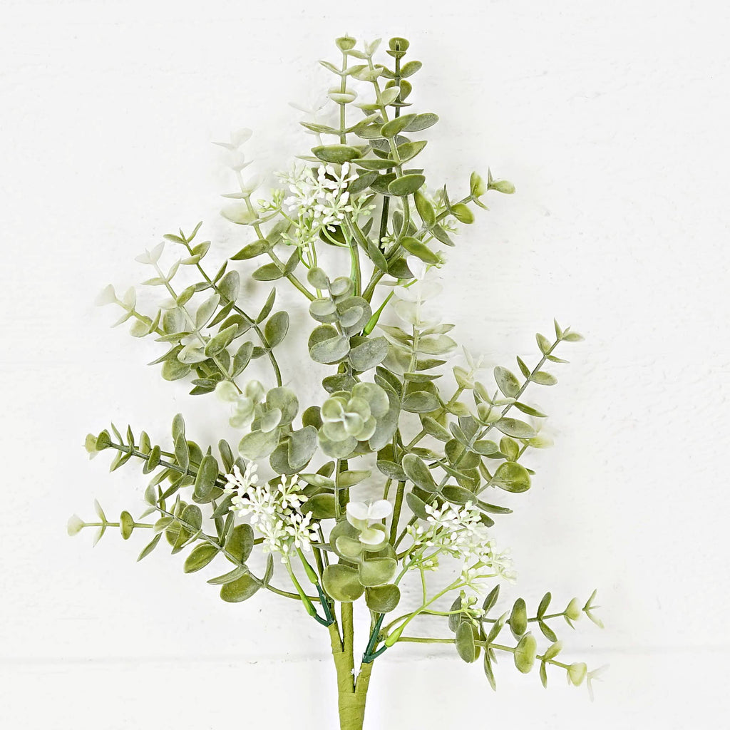 Sage Eucalyptus Plant