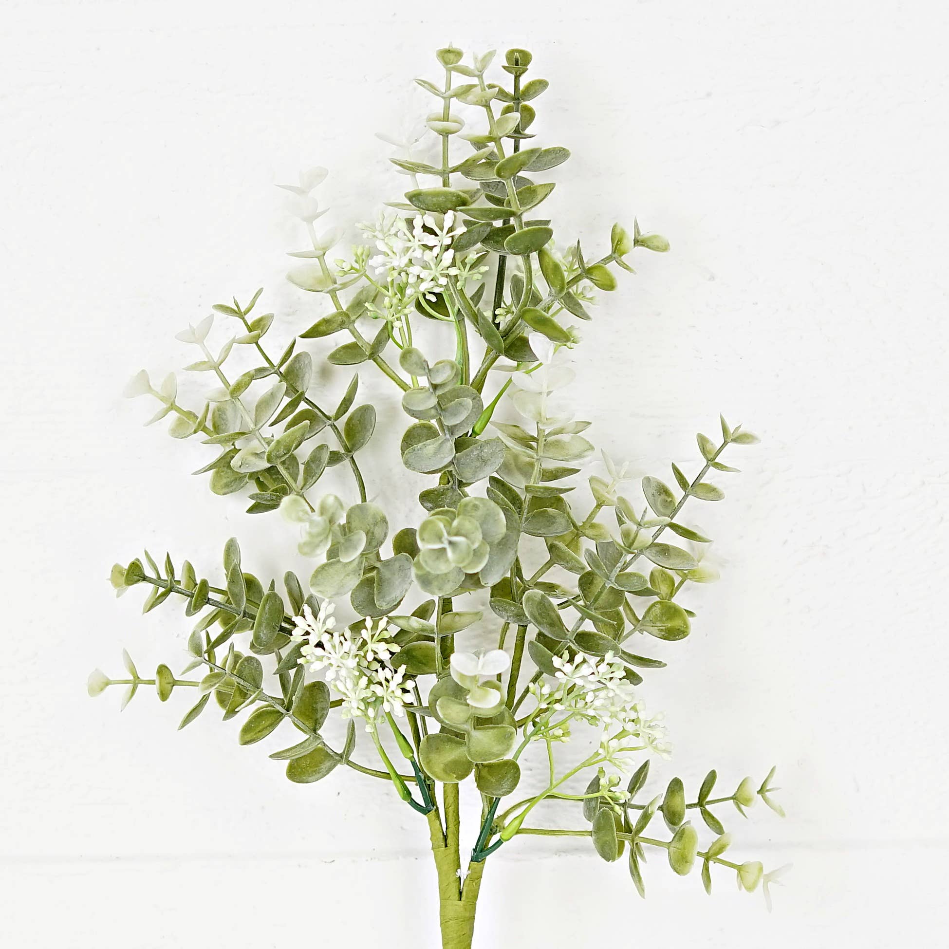 Sage Eucalyptus Plant