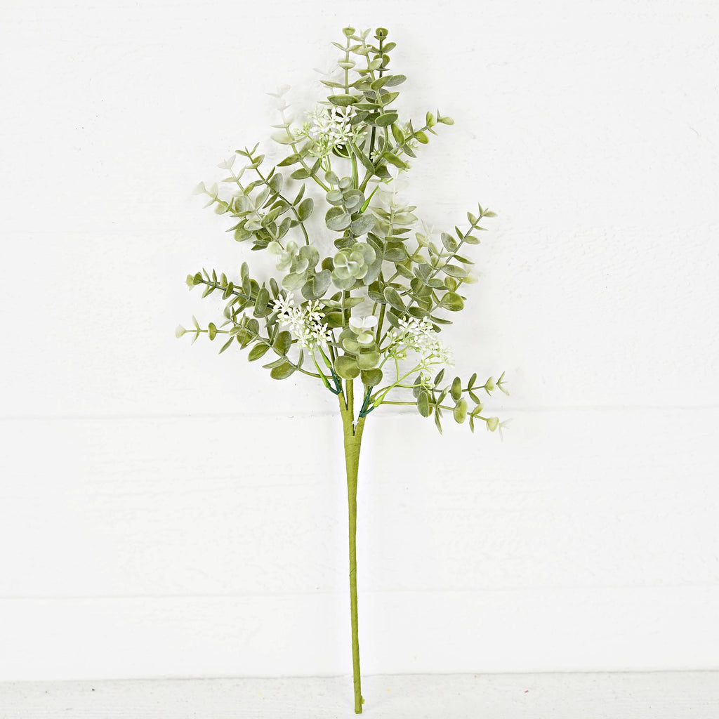 Sage Eucalyptus Plant