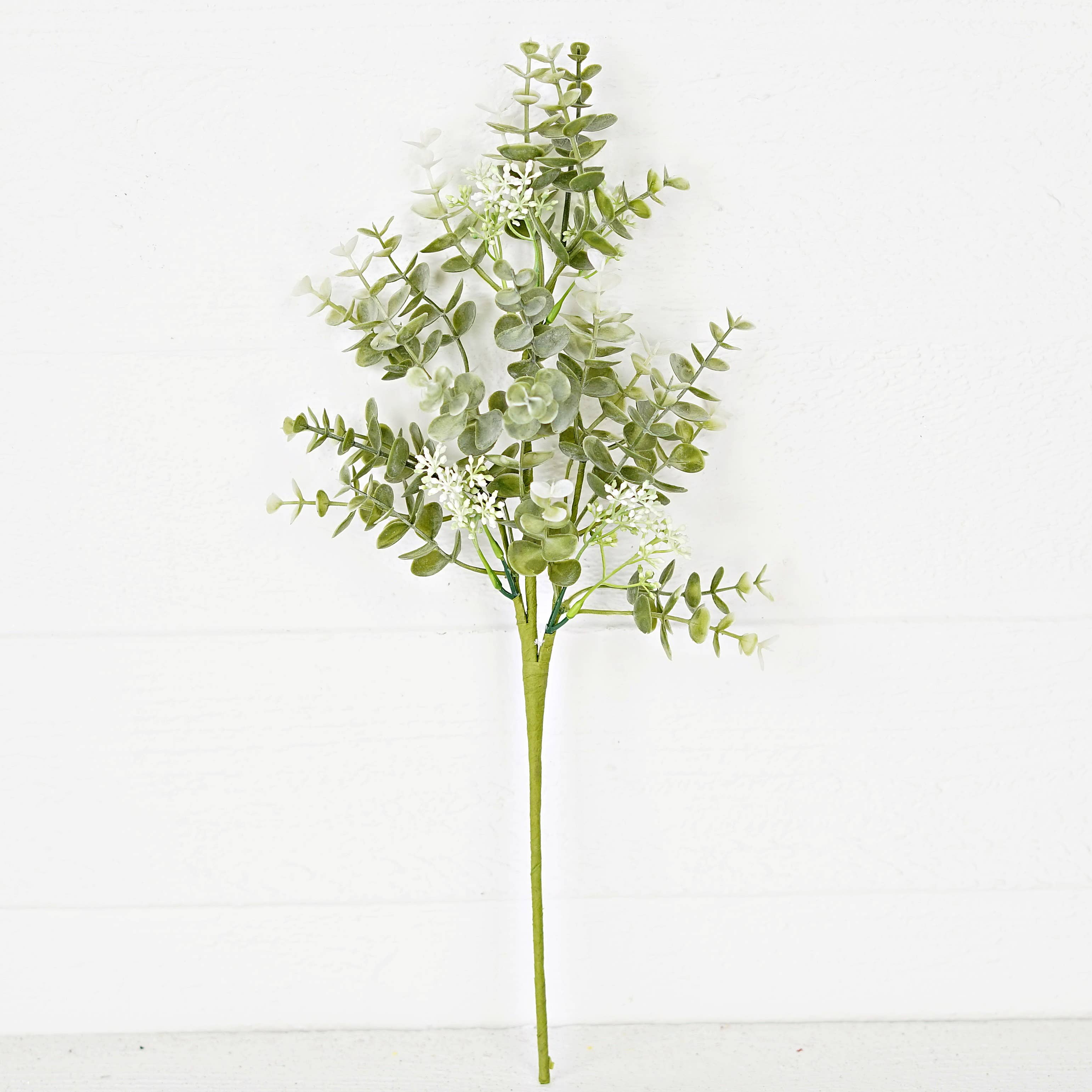 Sage Eucalyptus Plant