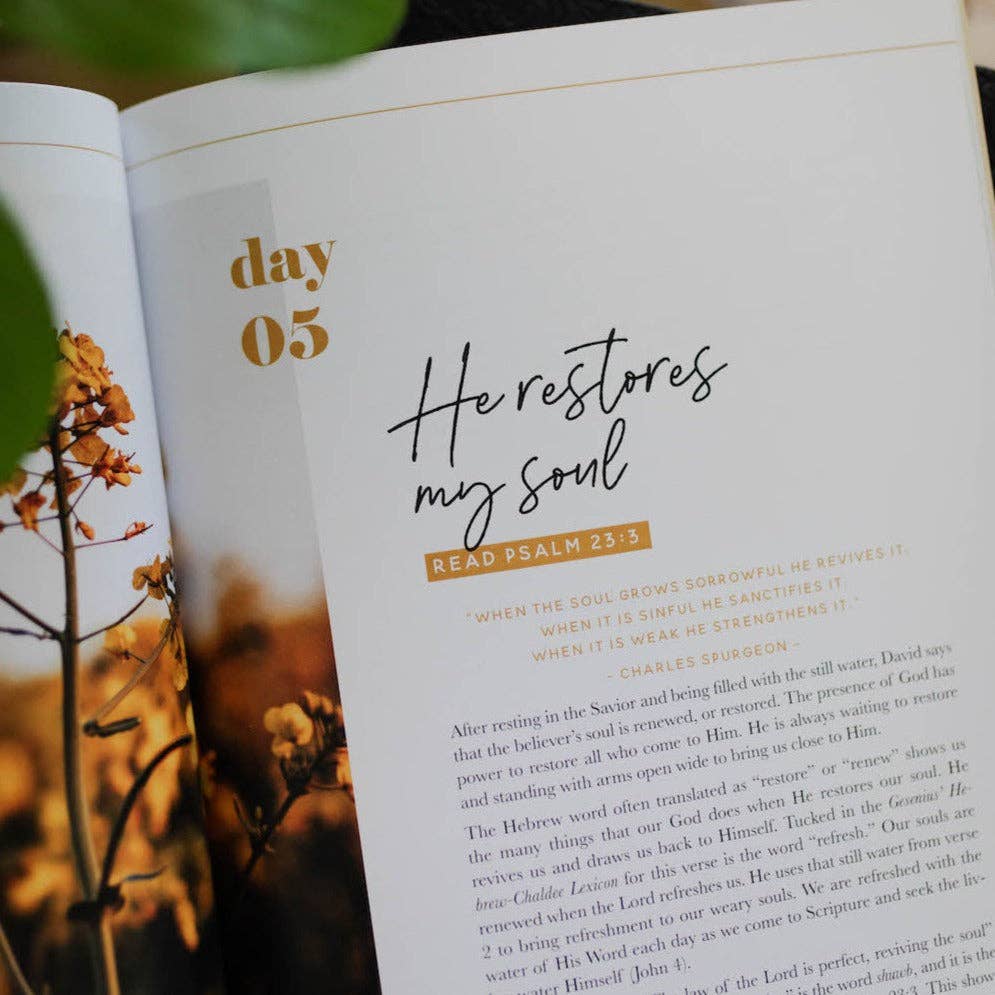 He Leads Me | Psalm 23 