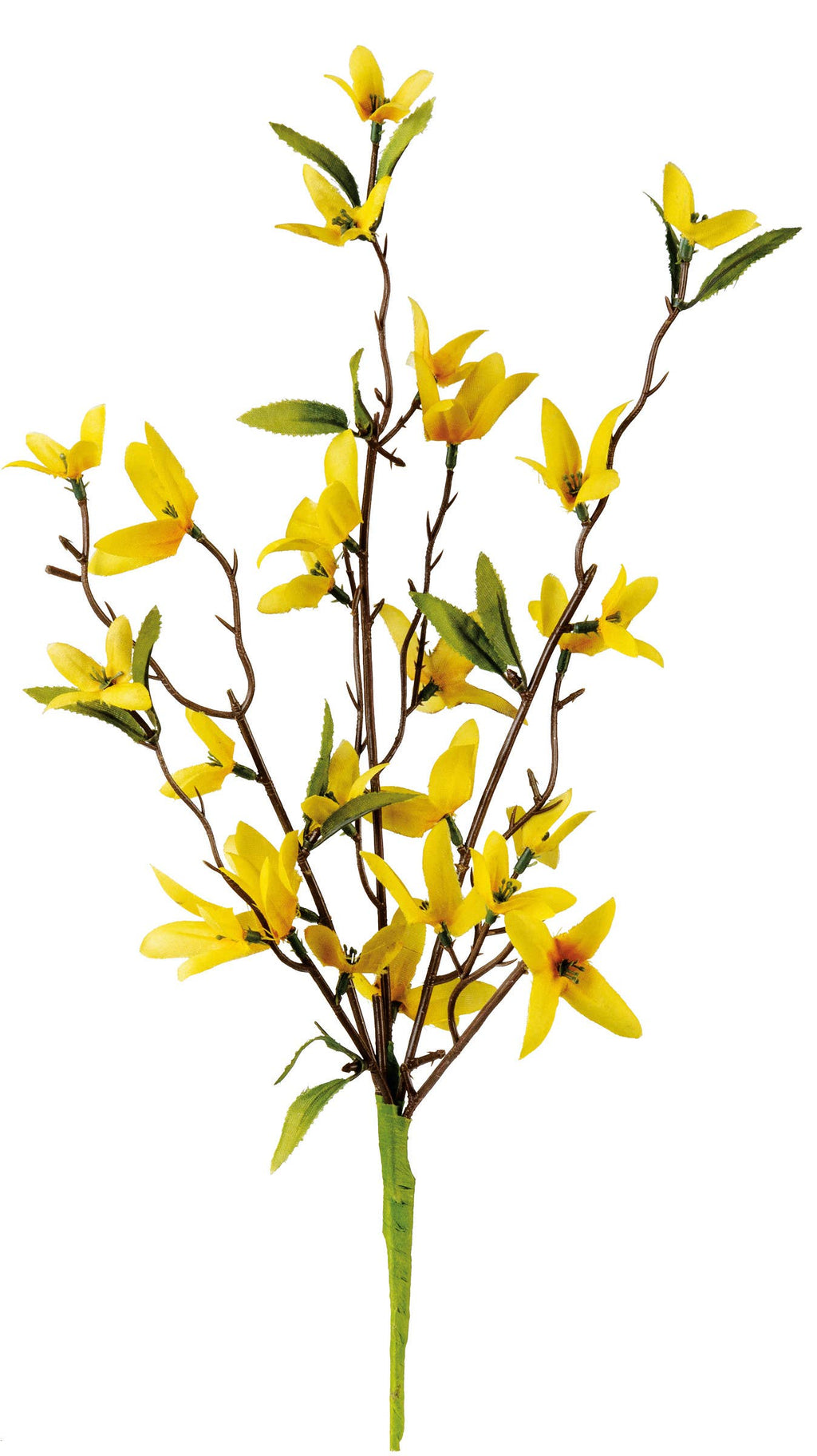 Forsythia Floral Pick
