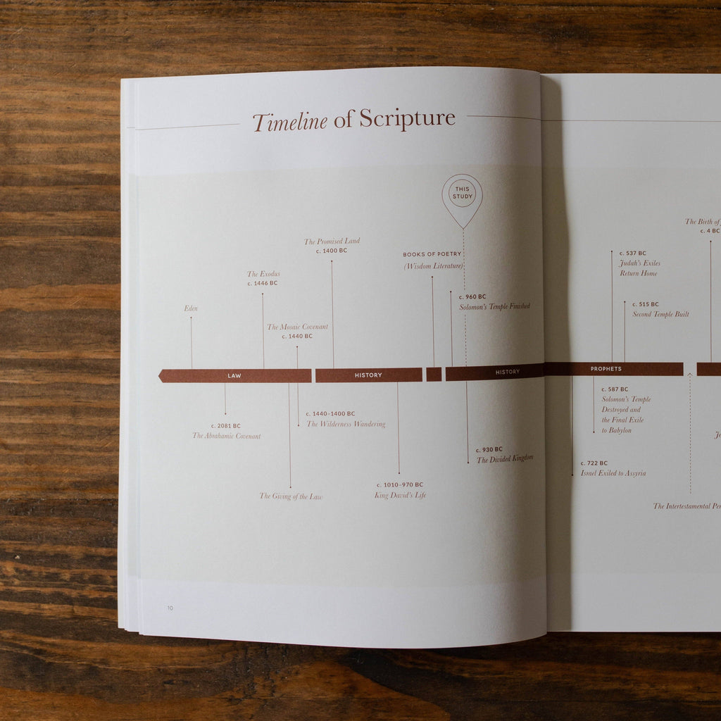 Path to Purpose | A Study on the Book of Ecclesiastes - Men