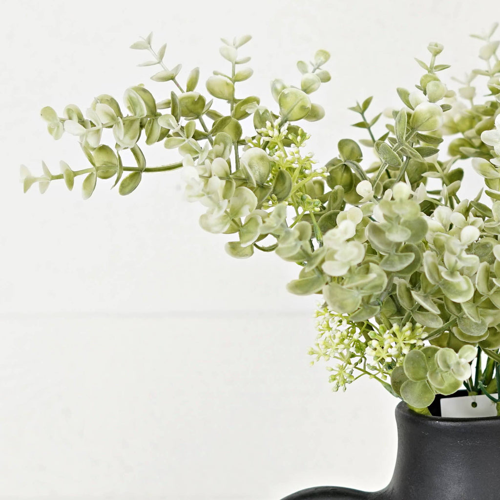 Sage Eucalyptus Plant