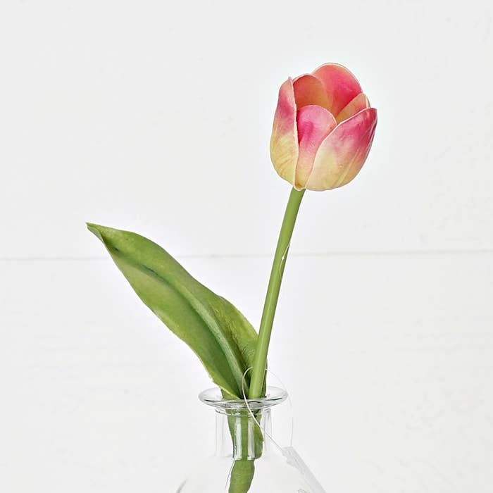 Real Touch Tulips Ombre