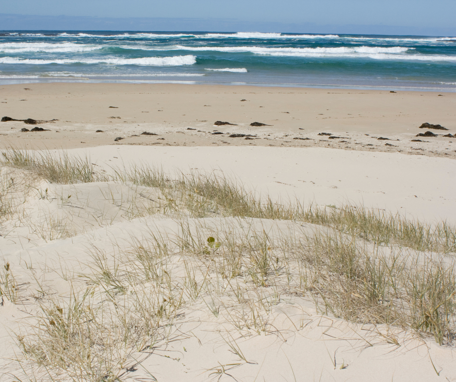 Relax Goat Milk Lotion