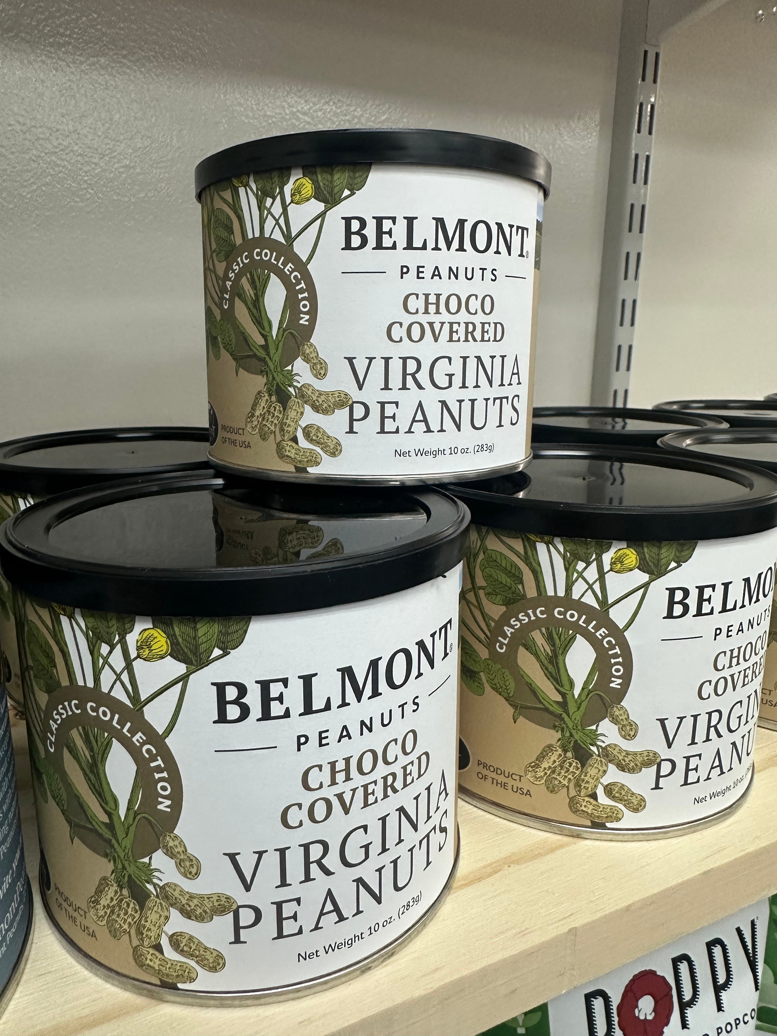 Chocolate Covered Peanuts