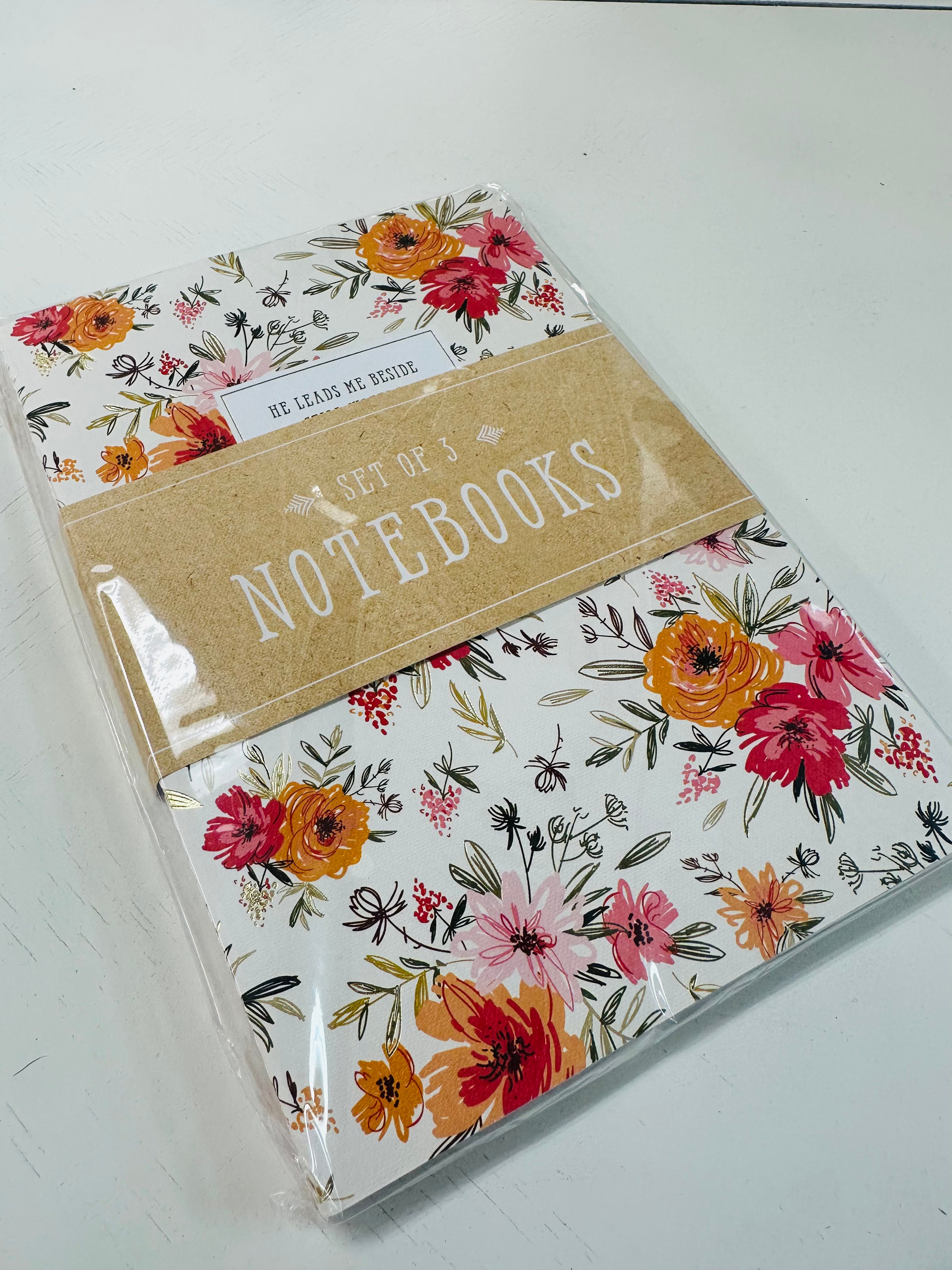 The Journaling Notebooks