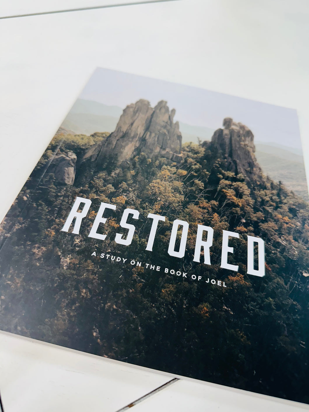 Restored~ A Study On The Book of Joel