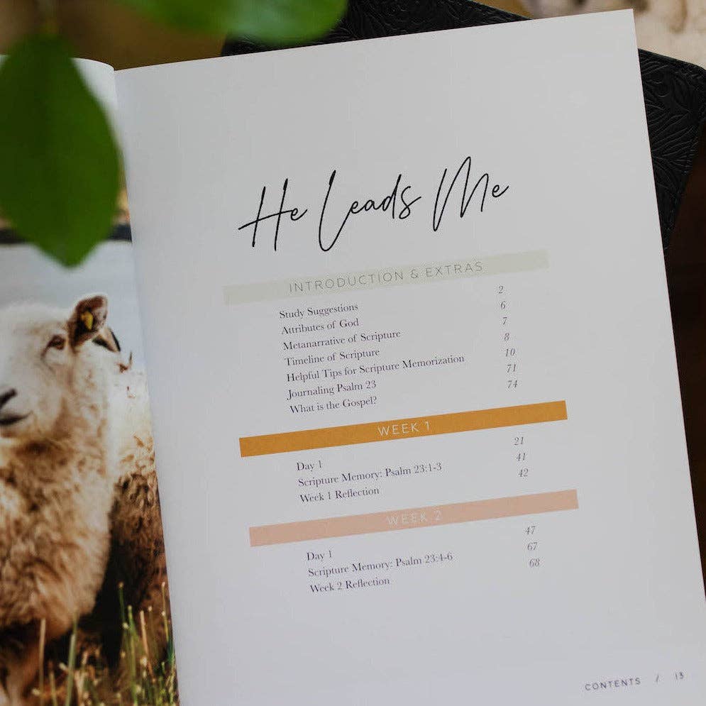He Leads Me | Psalm 23 