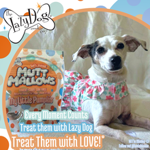 Load image into Gallery viewer, My Little Pumpkins Dog Treats
