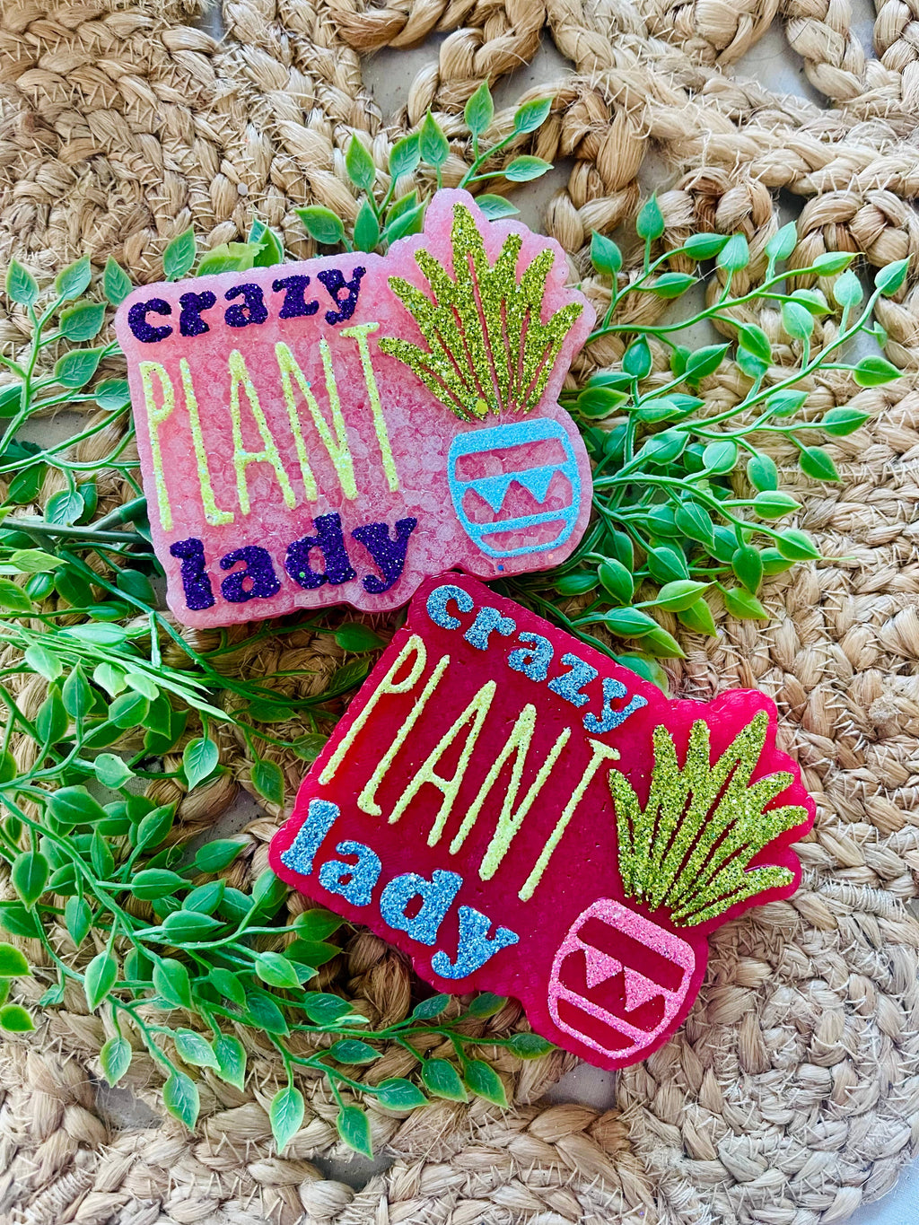 Crazy Plant Lady Car Freshie 