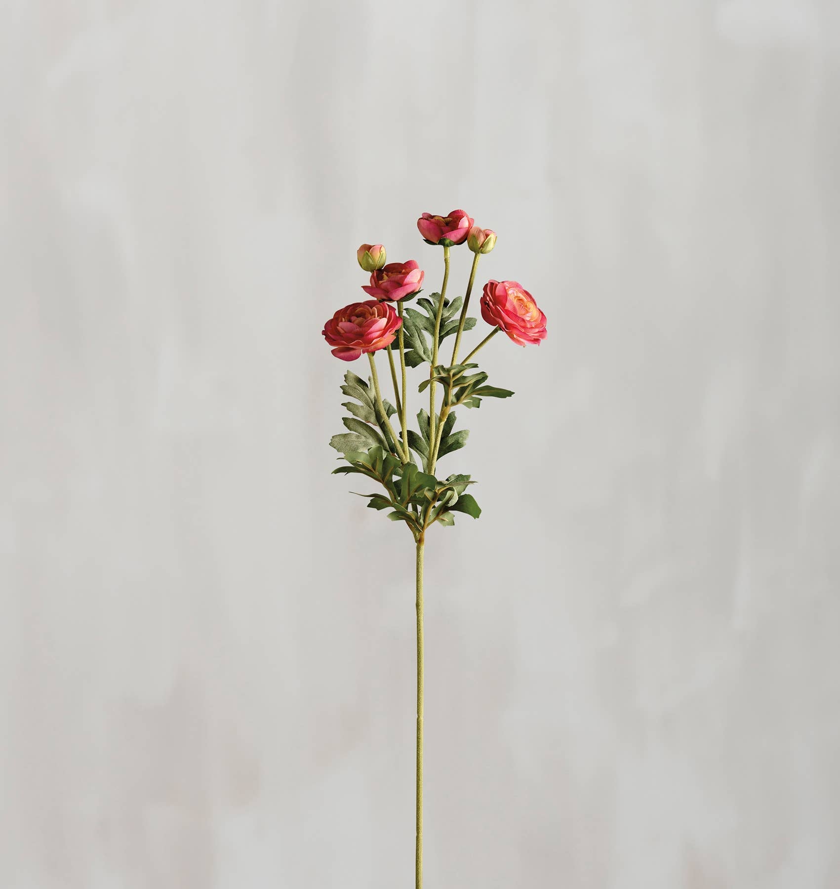 Pink Ranunculus Floral Pick