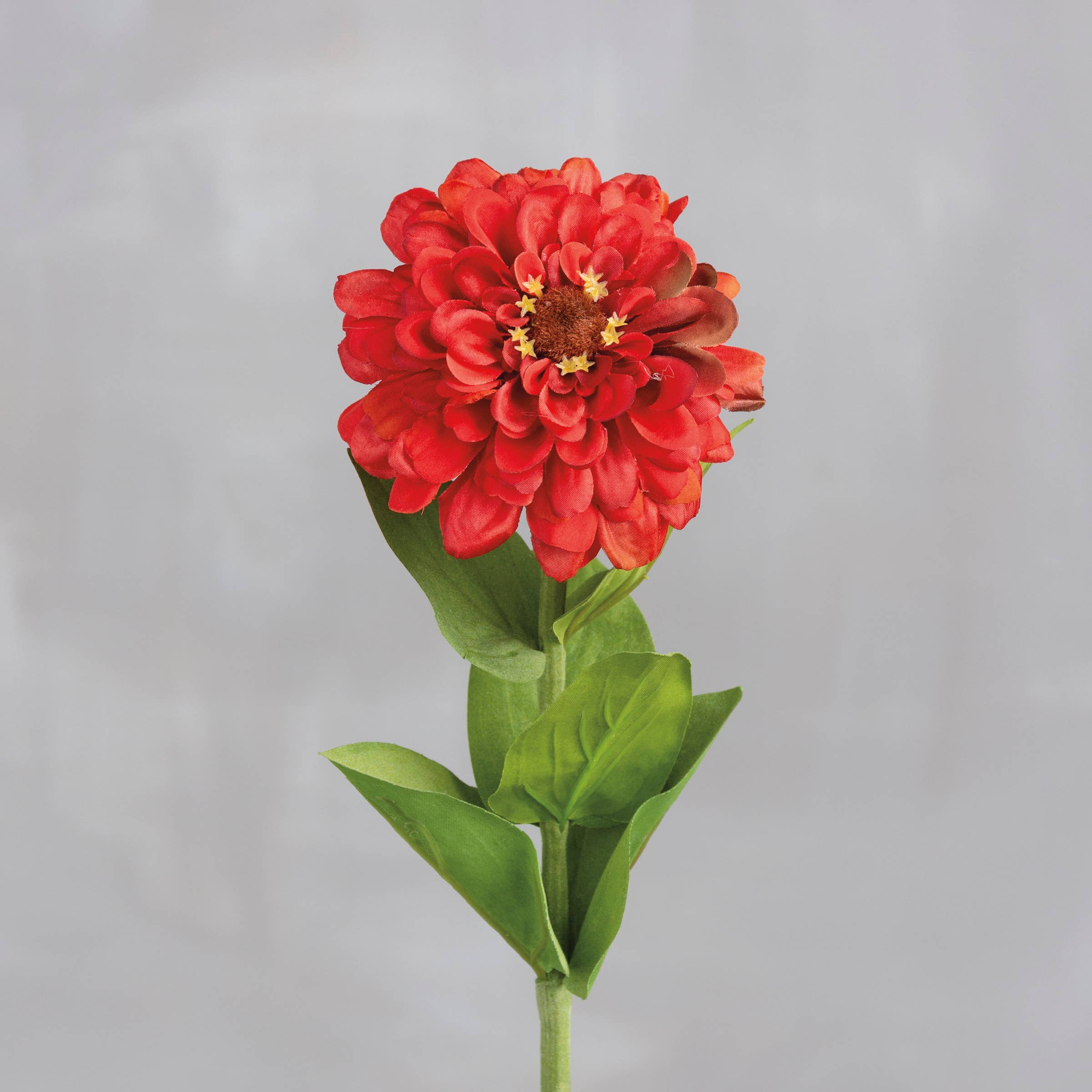 Red Zinnia Floral Pick